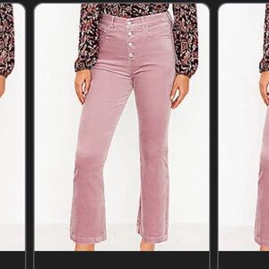 LOFT Blush Velvet Trousers